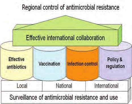 called antibiotic growth promoters and are administered to livestock as feed additives at a low, sub-therapeutic dose.