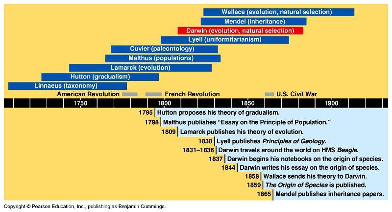 In historical context Other people s ideas paved the path for Darwin s thinking competition: struggle for survival population growth exceeds food supply land masses change over immeasurable