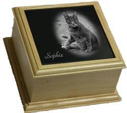 Calypso etched marble urns help you celebrate the memory of your pet