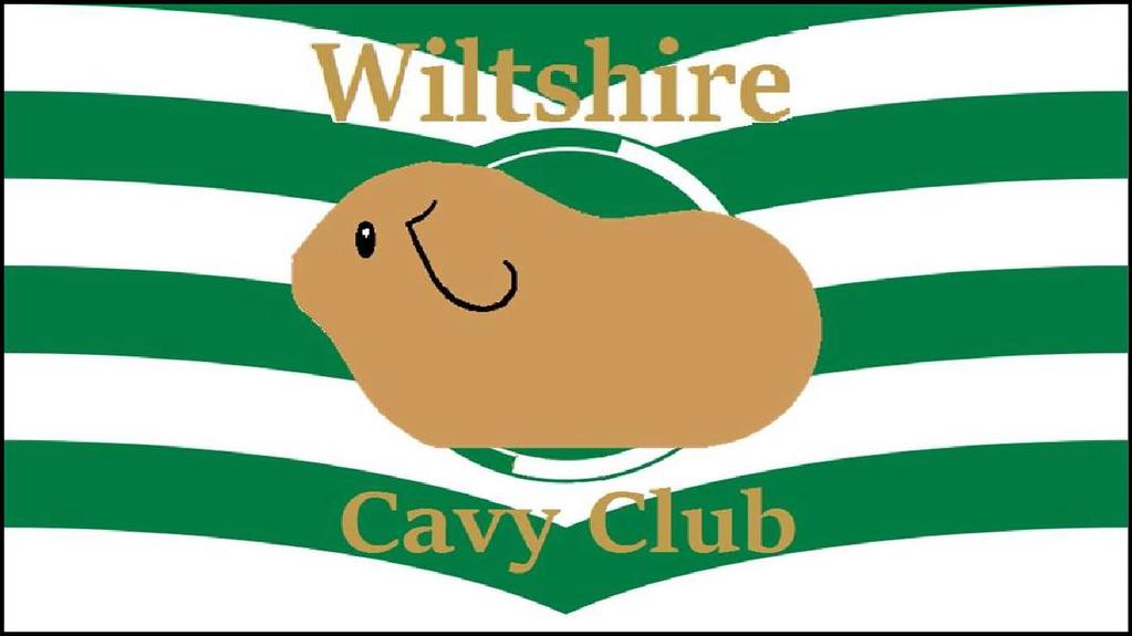 THE WILTSHIRE CAVY CLUB Est 1997 MEMBERSHIP FORM Name:.. BCC Registered stud name:.. Address:..... Email:.. Tel Numbers.... Type of membership:... Date.