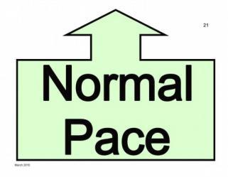 Slow Pace The team decreases its speed so that there is a noticeable difference from the team s normal pace.