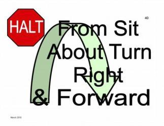 HALT - From Sit About Turn Right & Forward This exercise is performed as in Exercise 38, except that there is no halt following the turn.