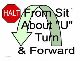 HALT - From Sit About U Turn & Forward This exercise is performed as in Exercise 39 except that there is no halt following the turn.