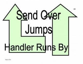 The handler cues the dog to jump, then runs along a line 6 feet to the right of the jump.