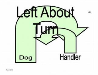 The handler takes one step directly to his/her right and halts. The dog moves with the handler to the right and sits in heel position.