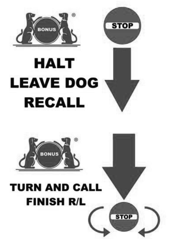 S(C) Bonus Exercise 3 STOP LEAVE DOG RECALL-TURN AND CALL-FINISH R/L This exercise requires two signs. At the first sign the dog/handler team stops and the handler leaves the dog.