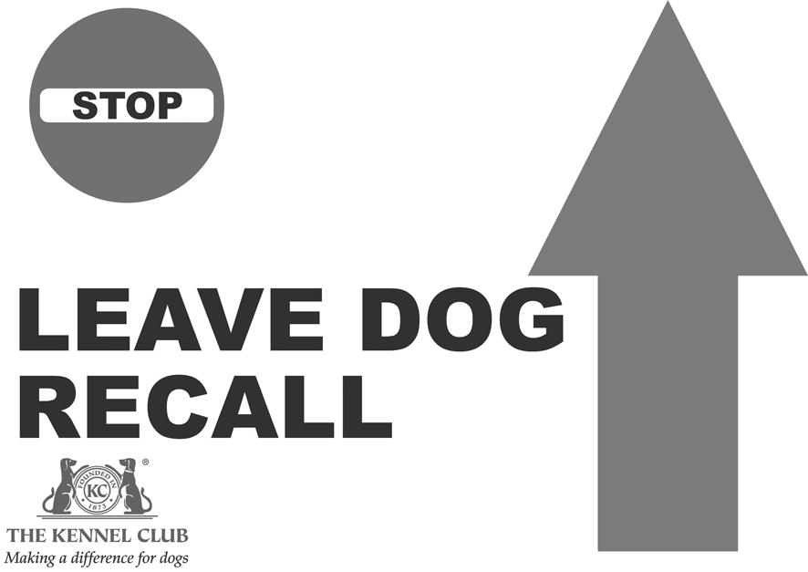 The dog must come in at an angle and sit in front position. The handler then cues the dog to Finish either Right or Left. 34,35. STOP-LEAVE DOG-RECALL- TURN & CALL (DOG) FRONT.