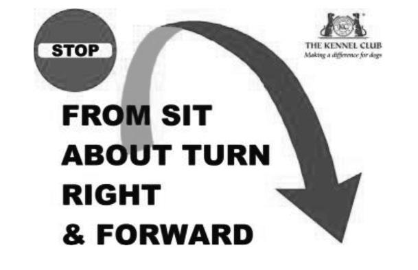S(C) 40. STOP-FROM SIT-ABOUT TURN RIGHT & FORWARD. This exercise is performed as in Exercise 38, except that there is no stop following the turn.