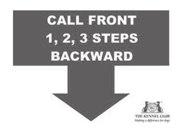 CALL (DOG) FRONT-1, 2, 3 STEPS BACKWARD. After calling the dog to front as described in Exercise 15, the handler takes one step backward and stops.