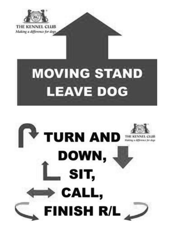 S(C) 52,53. MOVING STAND LEAVE DOG DOWN, SIT, CALL FRONT AND FINISH. This exercise requires two signs. The dog/ handler team heels to the exercise sign and the handler cues the dog to remain standing.