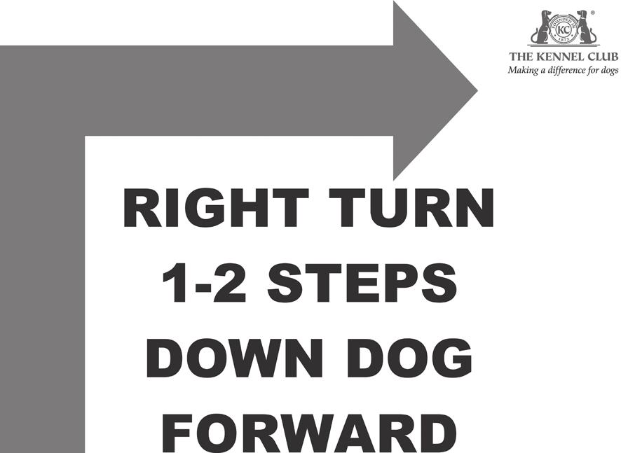 The handler leaves the dog in a Sit and walks to the second exercise sign, at a spot approximately 3 metres to the other side of the jump and directly facing the dog. The handler cues the dog to jump.