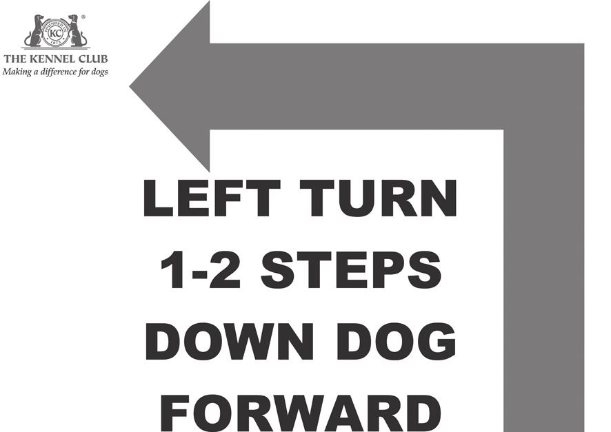 The handler then cues the dog to Finish either Right or Left. 59. RIGHT TURN 1 2 STEPS DOWN, FORWARD. The handler turns to the right, cueing the dog to move with him/her.