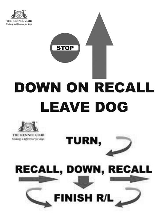 S(C) 61,62. STOP, LEAVE DOG, DOWN ON RECALL. This exercise uses two signs. The dog/handler team stops at the first exercise sign and handler cues dog to Sit, Wait/Stay and walks approximately 4.