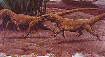 In 1910, discovery of Euparkeria (a very primitive archosaur about the size of a cat).