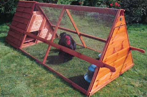 Chicken Coop and Enclosure Guidelines Choosing the Right Home for Your Chickens There are many different chicken coop and enclosure designs available online, and any one can fit your style or need.