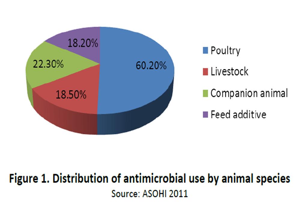 example Indonesia Indonesian Animal Drugs and Medicines (ASOHI)