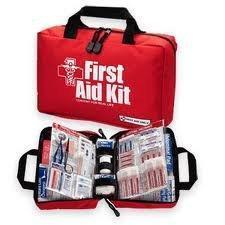 First Aid Kit (and know human first aid) Assemble a first aid kit for your home and car: Band-Aids and bandages of various sizes Germicidal hand wipes or alcohol based hand sanitizer Two pair large