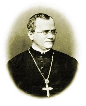 Gregor Mendel 19 th century Austrian monk. b. 1822 d.