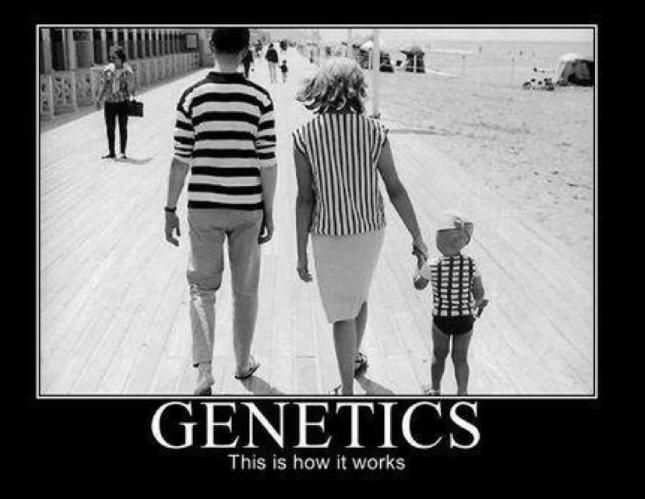 Mendelian Genetics Vocabulary: heredity character trait generation parental (P) generation filial