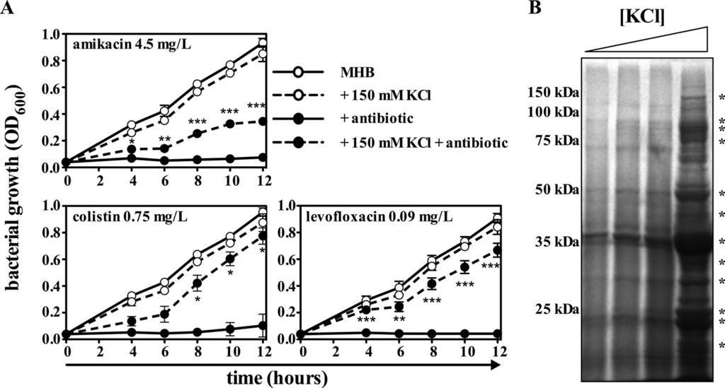 VOL. 54, 2010 CATION-INDUCED ANTIBIOTIC RESISTANCE IN A. BAUMANNII 1037 FIG. 3. NaCl induces increased tolerance to distinct classes of antibiotics in A. baumannii. A. baumannii strain ATCC 17978 cells were challenged with amikacin (4.