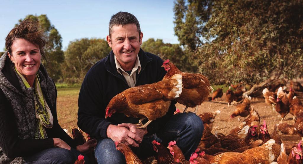 HOW THE SCHEME WORKS As a not-for-profit program, the RSPCA Approved Farming Scheme is funded by fees received from brands which use the RSPCA Approved logo.