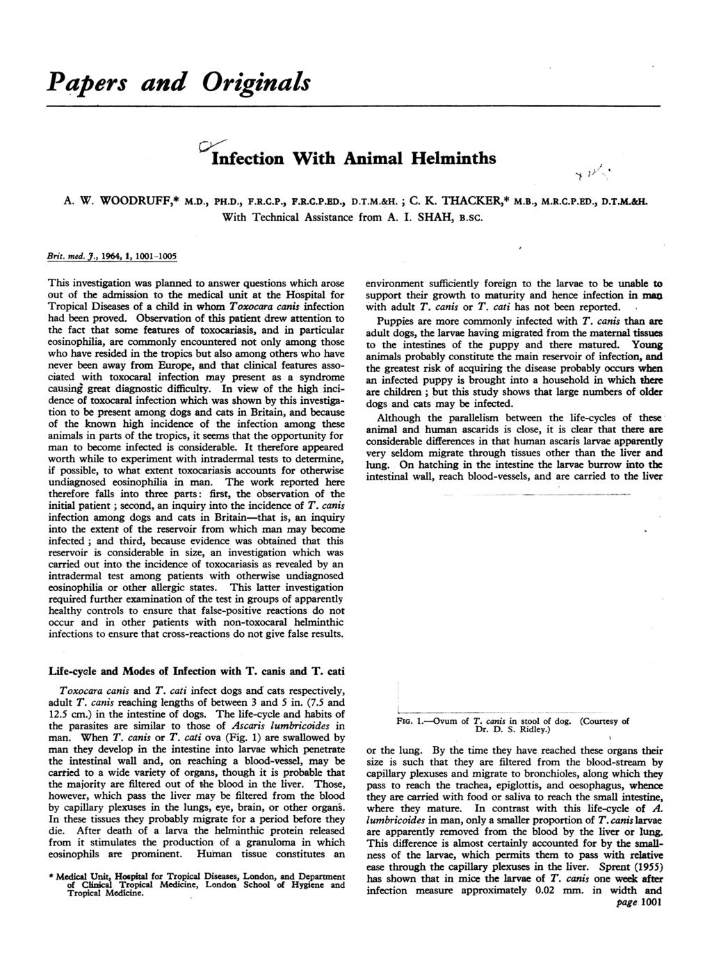 Papers and Originals Infection With Animal Helminths -. /.. A. W. WOODRUFF,* M.D., PH.D., F.R.C.P., F.R.C.P.D., D.T.M.&H.; C. K. THACKER,* M.B., M.R.C.P.ED., D.T.M.&H. With Technical Assistance from A.