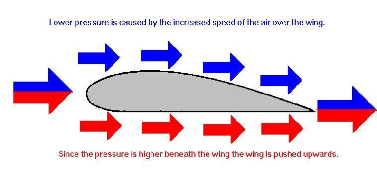 Bernoulli s Principle Physics of Flight Bernoulli's principle states that as air moves around an object, it creates different