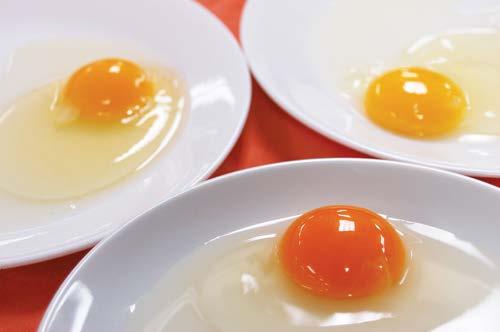 The color in the yolk of the eggs is given by the diet of the hen If the diet contains yellow/orange plant pigments (xanthophylls) the pigments will be deposited in the yolk and color it.