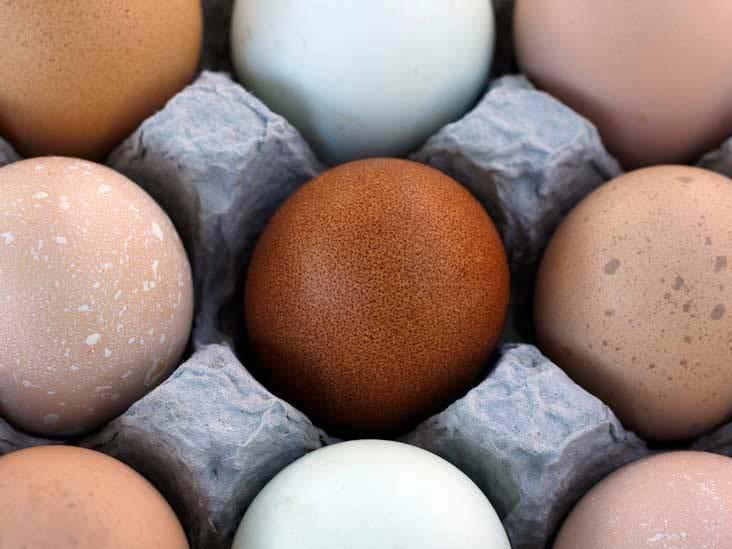 To better understand safe egg handling; cleaning and storing of eggs, check out the Safe