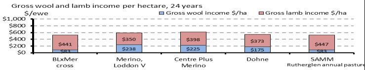 Gross lamb and wool returns per ewe The Merino LV and CP Merino had the greatest wool returns per ewe, whereas BL x M and SAMM had the greatest lamb returns.