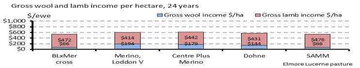 Results for all location - systems are shown in Appendix 1. Over the 24-year period the CP Merinos averaged $51 wool per head while the Merino LV averaged $48.