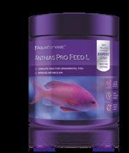 Anthias Pro Feed S / L Feed for ornamental fish, among others. Anthias and other carnivorous fish. Mysis Relicta and Calanus are considered as one of the most complete nutrients in all fish.