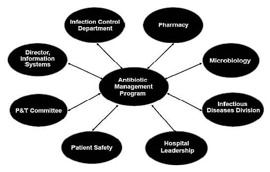 Stewardship Team Core Members: Infectious Diseases