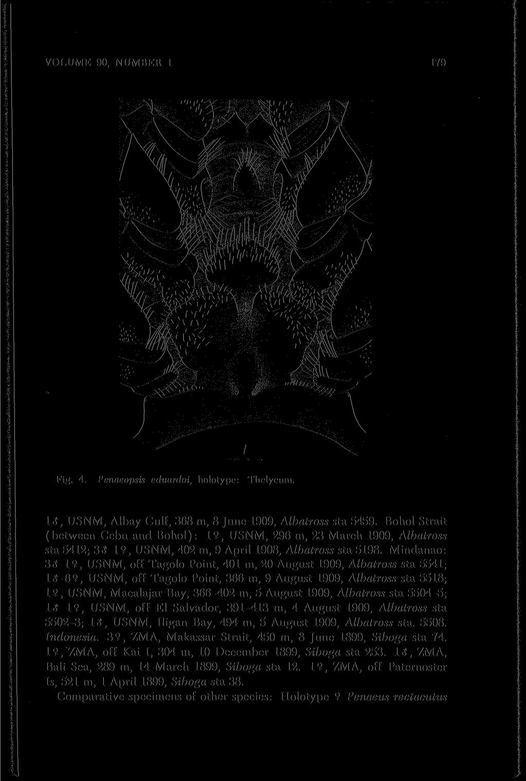 VOLUME 90, NUMBEtl 1 179 Fig. 4. Penaeopsis eduardoi, holotype: Thelycum. 1 3, USNM, Albay Gulf, 368 m, 8 June 1909, Albatross sta 5459.