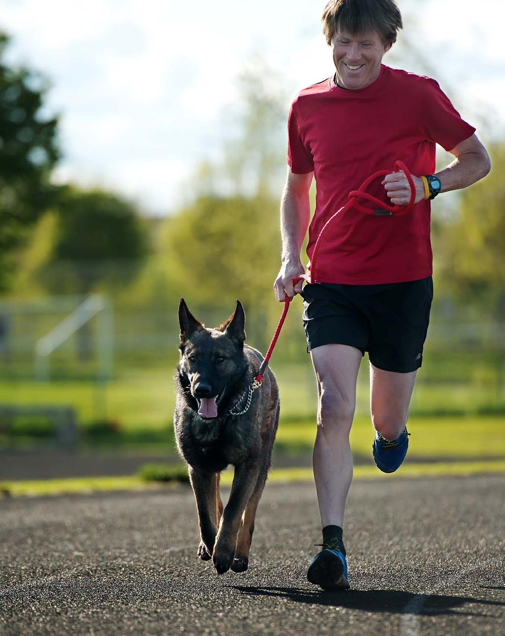 Improving Fracture Repair For Pets Improved bone Implants reduce complications of fracture repair Using the latest technology in bone implants, surgeon Noel Moens is helping to boost the success of