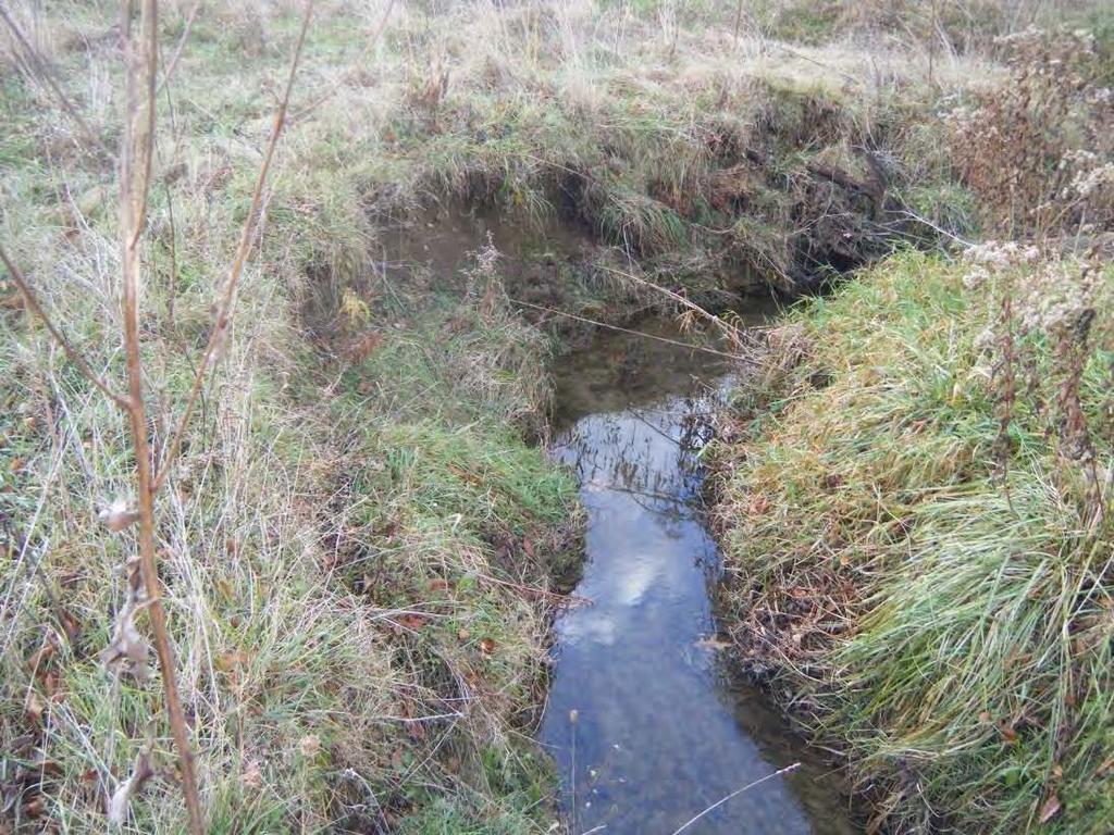 Photo 23 Example of sloughing banks on