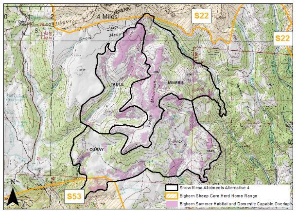 DRAFT Snow Mesa and Wishbone Risk Assessment Alternative 4 A permittee-suggested alternative (referred to as Alternative 4) would completely remove the Snow Mesa Allotment from the analysis area but