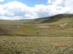 USDA Forest Service source habitat for bighorn sheep and acres capable for domestic sheep grazing.