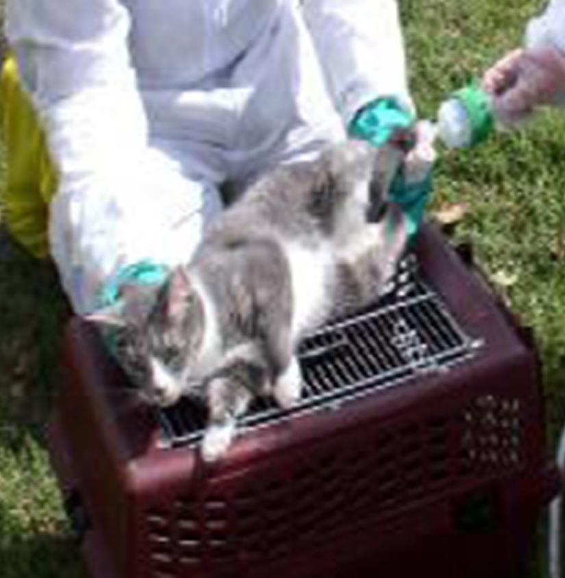 Pet Decontamination What s wrong with this picture? http://www.ncbi.nlm.nih.