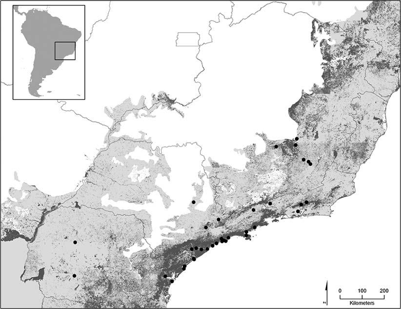 408 HERPETOLOGICA [Vol. 70, No. 4 FIG. 1. Specimen localities of individual Spilotes pullatus used in this study. Gray area represents the Atlantic Forest biome within South America (inset).