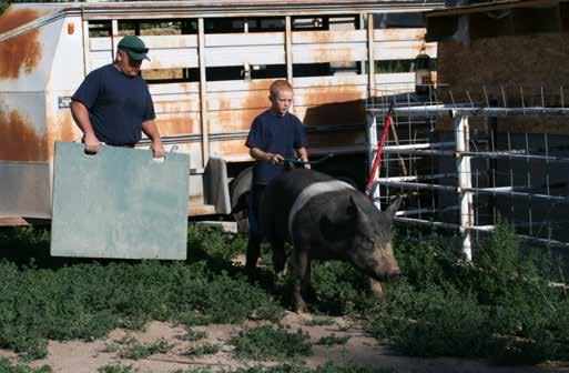 Provide Proper Swine Care to Improve Swine Well-Being. GPP #9 Understand the role of daily observation and animal evaluation. Provide feed, water and an environment that promotes pig well-being.