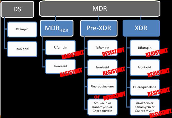 Multiple Drug Resistant TB (MDR TB) TB resistant to both INH and Rifampin Extensively Drug Resistant TB (XDR TB) MDR TB plus resistance to: Any fluoroquinolone and Second line injectable Capreomycin