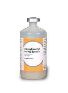 Staphylococcus aureus Vaccines No