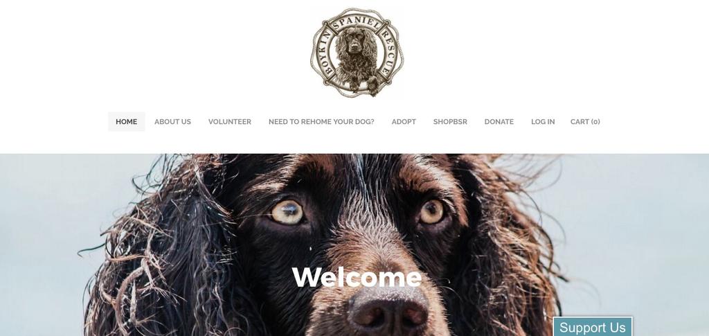 Check Out Our New Website! See heartwarming stories of our PFC s, keep up- to- date with adopted dogs and visit ShopBSR! www.boykinspanielrescue.
