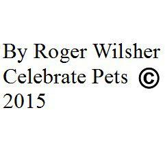 Eliminate Your Dog s Barking in 8 easy and simple steps Roger Wilsher is an Editor, Writer, and Author who