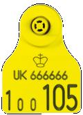 Button Official electronic (HDX) cattle tag