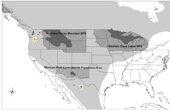Figure 3: Current distribution of gray wolves (Canis lupus), including the recovered and delisted populations, in the contiguous United States and Mexico.