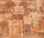 The Great Indian Bustard The Great Indian Bustard The Times of India December 28, 1978 On 31 December 1978, we were out on Jaipur streets, with banners and posters during our silent Save Bustard