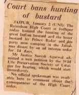 Hence on December 31, 1978, we were out on the streets of Jaipur with banners and posters during our silent 'Save Bustard Rally'.