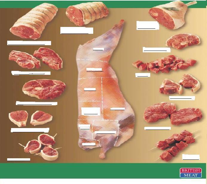 Species Specific Label the meat cut diagram that
